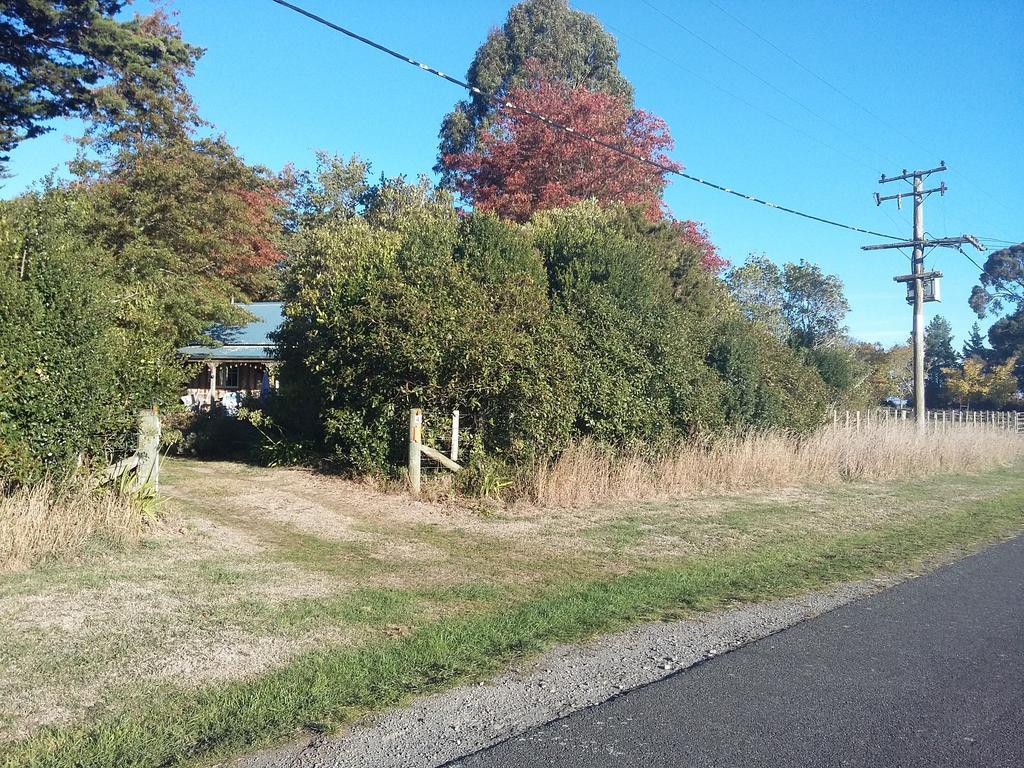 Bumblebee Cottage Greytown Exterior foto